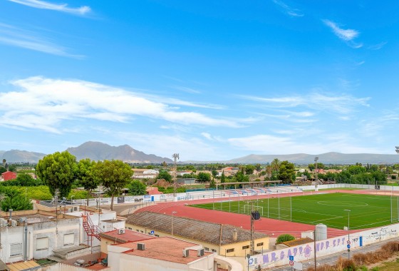 Revente - Appartement - Almoradí