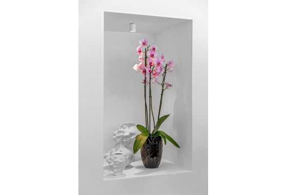 Revente - Villa - Guardamar del Segura