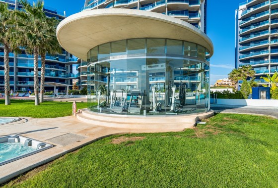 Revente - Appartement - Torrevieja - Punta prima