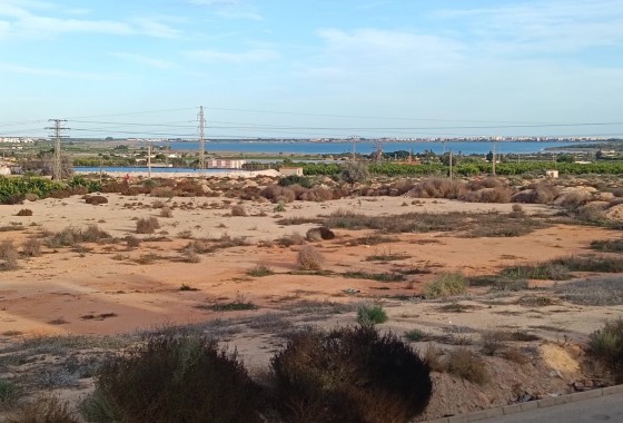 Segunda Mano - House - Detached Villa (4) - Los Montesinos - La herrada