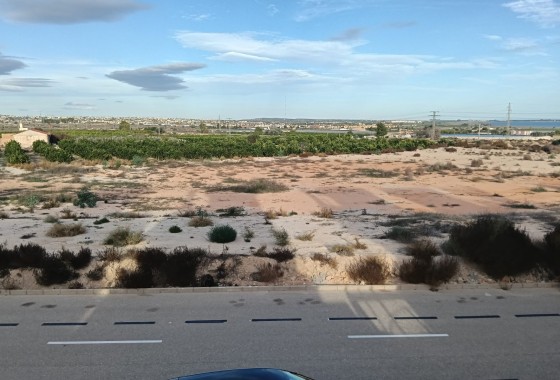 Segunda Mano - House - Detached Villa (4) - Los Montesinos - La herrada