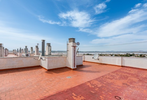 Segunda Mano - Apartamento - Torrevieja - Parque las naciones