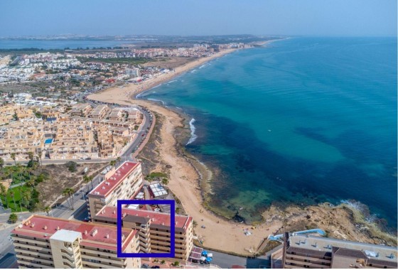 Segunda Mano - Apartamento - Torrevieja - Cabo cervera