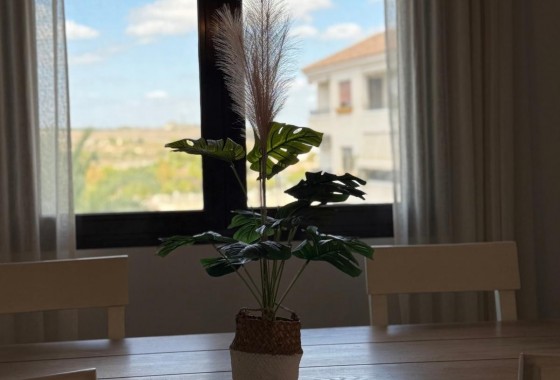 Resale - Apartment - San Miguel de Salinas