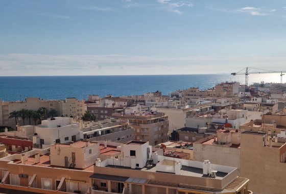 Revente - Appartement - Torrevieja - Los Frutales