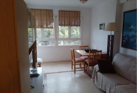 Segunda Mano - Apartamento - Orihuela Costa - Campoamor