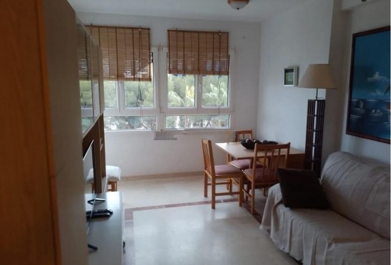 Segunda Mano - Apartamento - Orihuela Costa - Campoamor