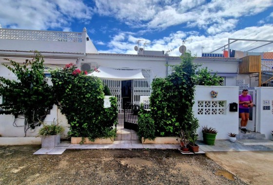 Segunda Mano - Apartamento - Torrevieja - La Siesta - El Salado - Torreta