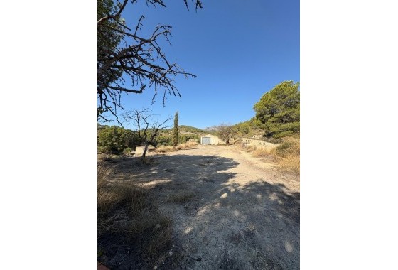 Revente - finca - Villajoyosa - El Secanet - Hacienda del Sol