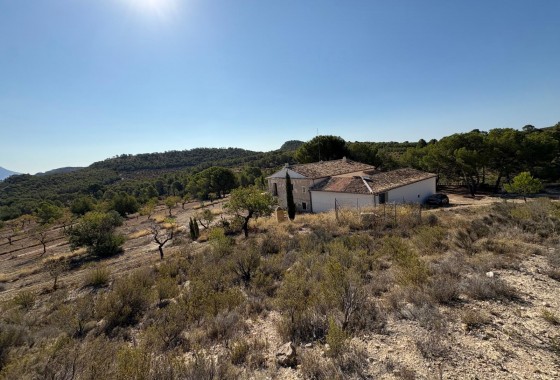 Revente - finca - Villajoyosa - El Secanet - Hacienda del Sol