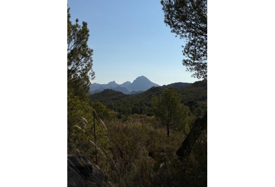 Revente - finca - Villajoyosa - El Secanet - Hacienda del Sol