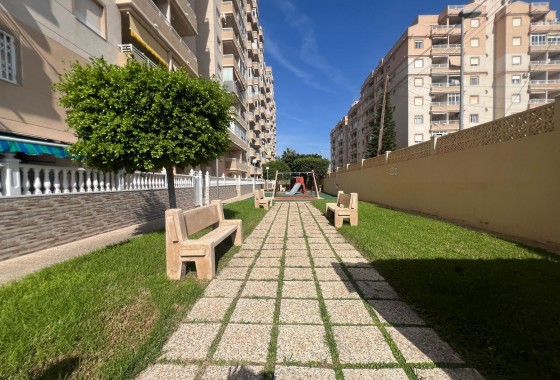 Revente - Appartement - Torrevieja - Playa de los locos