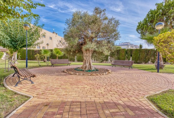 Revente - Appartement - Torrevieja - Los Europeos
