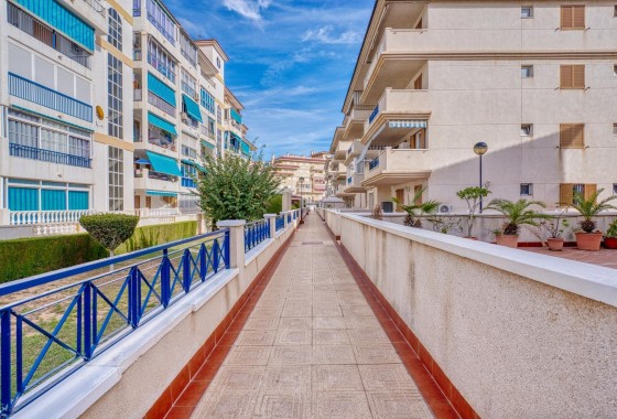 Revente - Appartement - Torrevieja - Los Europeos