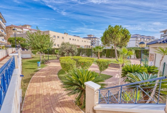 Revente - Appartement - Torrevieja - Los Europeos