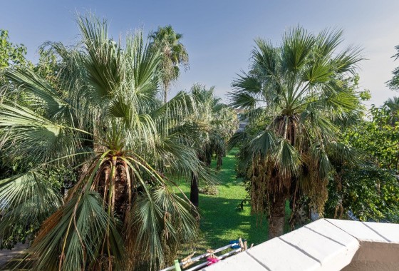 Segunda Mano - Apartamento - Orihuela Costa - Campoamor