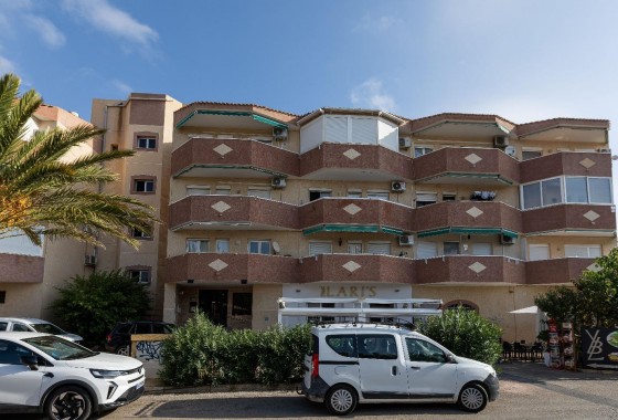 Segunda Mano - Apartamento - Orihuela Costa - Campoamor