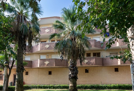 Segunda Mano - Apartamento - Orihuela Costa - Campoamor