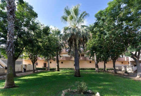 Segunda Mano - Apartamento - Orihuela Costa - Campoamor