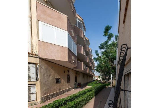 Segunda Mano - Apartamento - Orihuela Costa - Campoamor