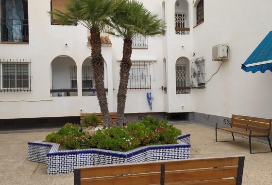 Segunda Mano - Apartamento - Torrevieja - Acequion