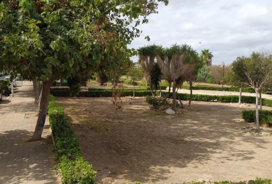 Segunda Mano - Apartamento - Torrevieja - Acequion