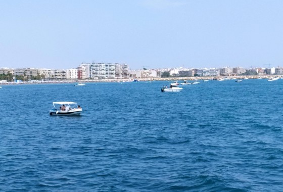 Segunda Mano - Apartamento - Torrevieja - Acequion