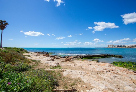 Revente - Appartement - Torrevieja - Centro - Muelle Pesquero