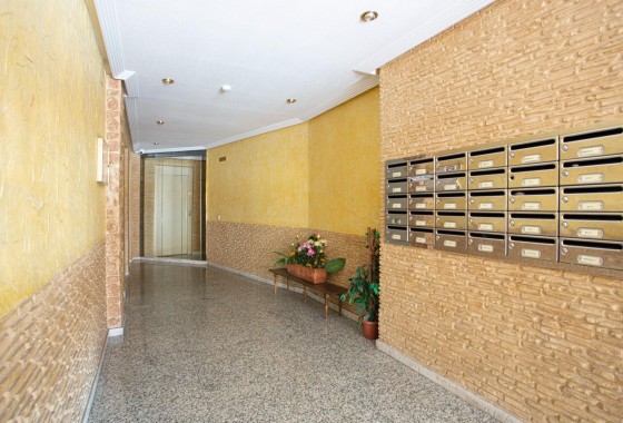 Revente - Appartement - Torrevieja - Centro