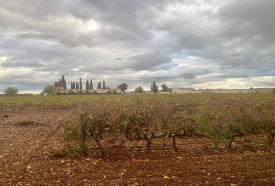 Segunda Mano - Cellar - Albacete