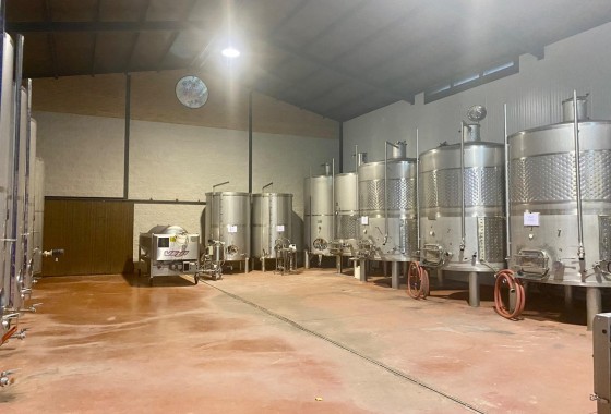 Segunda Mano - Cellar - Albacete