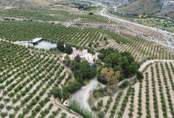 Revente - Country land - Murcia - Rincón de Seca