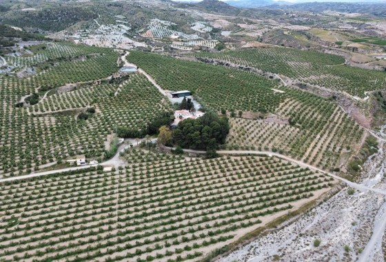 Revente - Country land - Murcia - Rincón de Seca