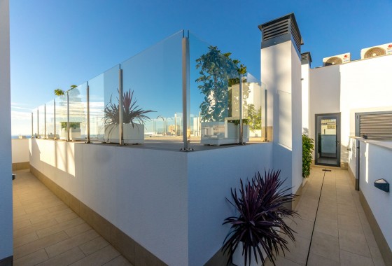 Segunda Mano - Apartamento - Torrevieja