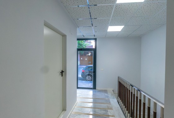 Segunda Mano - Apartamento - Torrevieja