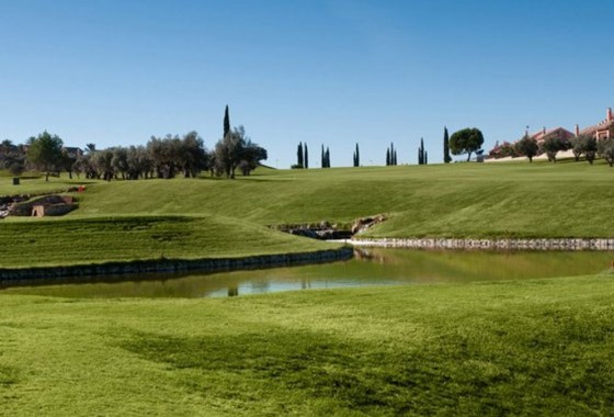 Revente - Villa - Algorfa - La finca golf