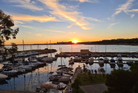 Revente - Villa - Orihuela Costa - Villamartin Fortuna