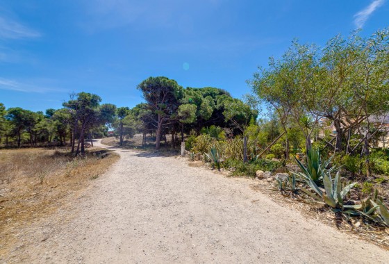 Revente - Appartement - Guardamar del Segura - Pinomar