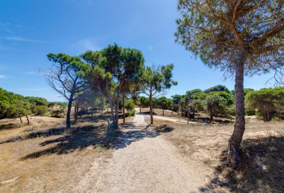 Revente - Appartement - Guardamar del Segura - Pinomar