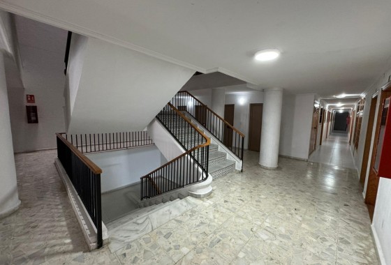 Revente - Appartement - Torrevieja - Estacion de autobuses