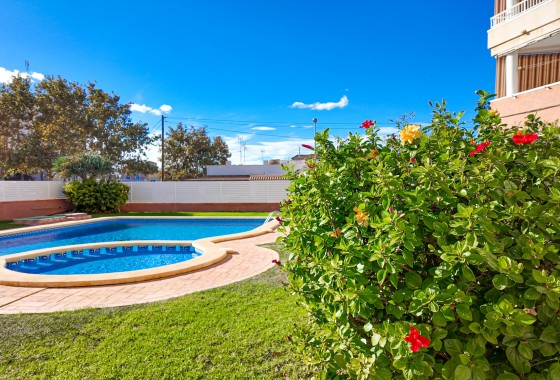 Segunda Mano - Apartamento - Torrevieja - Nueva Torrevieja - Aguas Nuevas