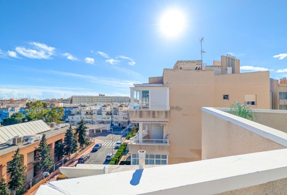 Segunda Mano - Apartamento - Torrevieja - Nueva Torrevieja - Aguas Nuevas