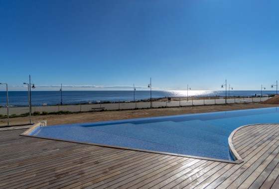 Segunda Mano - Apartamento - Torrevieja - Punta prima