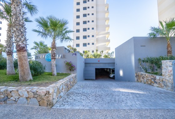 Segunda Mano - Apartamento - Torrevieja - Punta prima