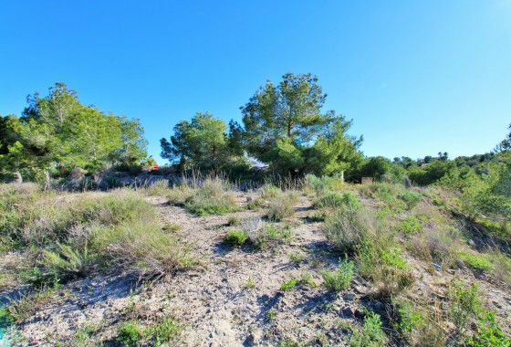 Revente - Terrain - San Miguel de Salinas