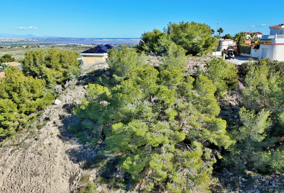 Revente - Terrain - San Miguel de Salinas