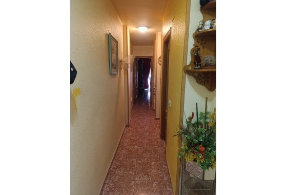 Revente - Appartement - Torrevieja - Acequion
