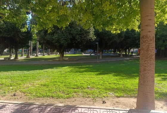 Revente - Appartement - Torrevieja - Acequion