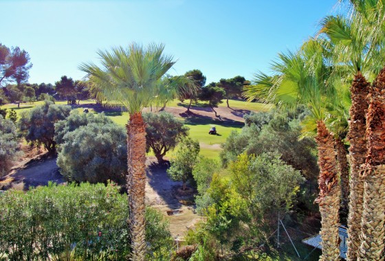 Segunda Mano - Apartamento - Villamartin