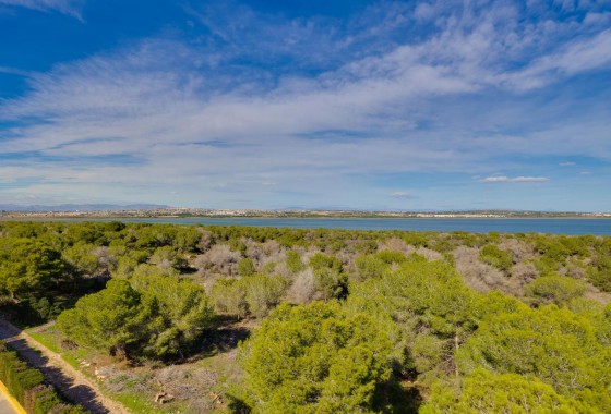 Revente - Appartement - Torrevieja - San Luis